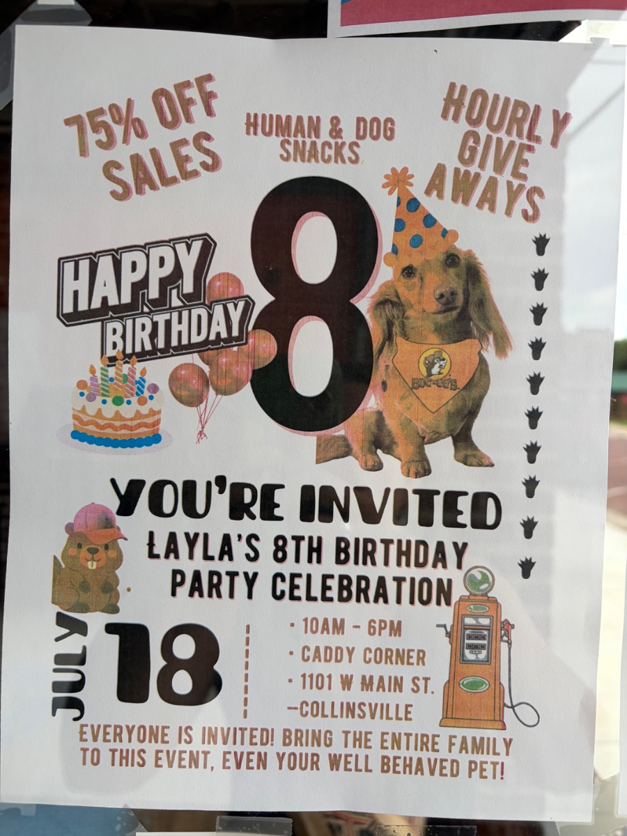 Layla's 8th Birthday Party Celebration flyer